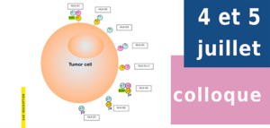9e Conférence internationale sur la molécule HLA-G